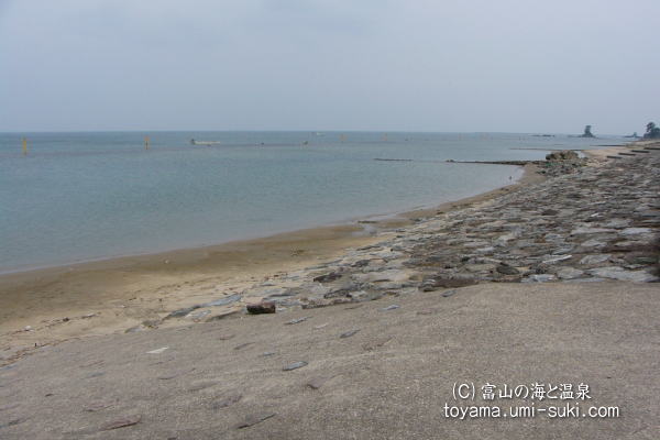 雨晴海水浴場の写真